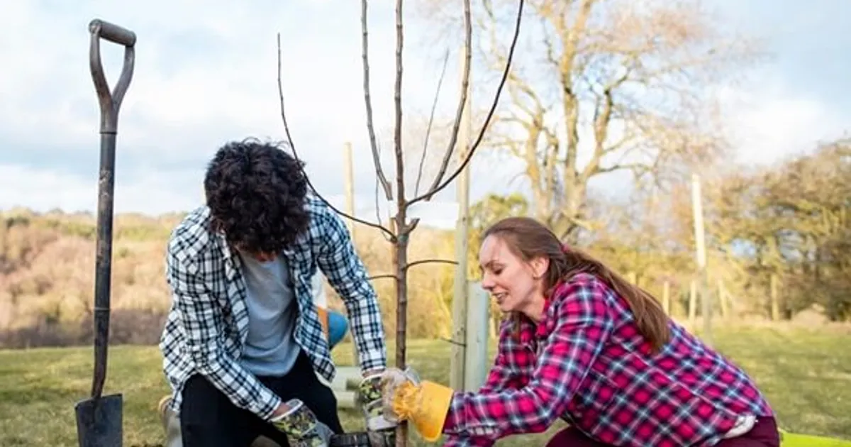 The Big Stirling Tree Plant | About | University of Stirling