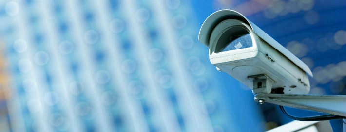 World-first surveillance strategy shaped by Stirling expertise | About ...