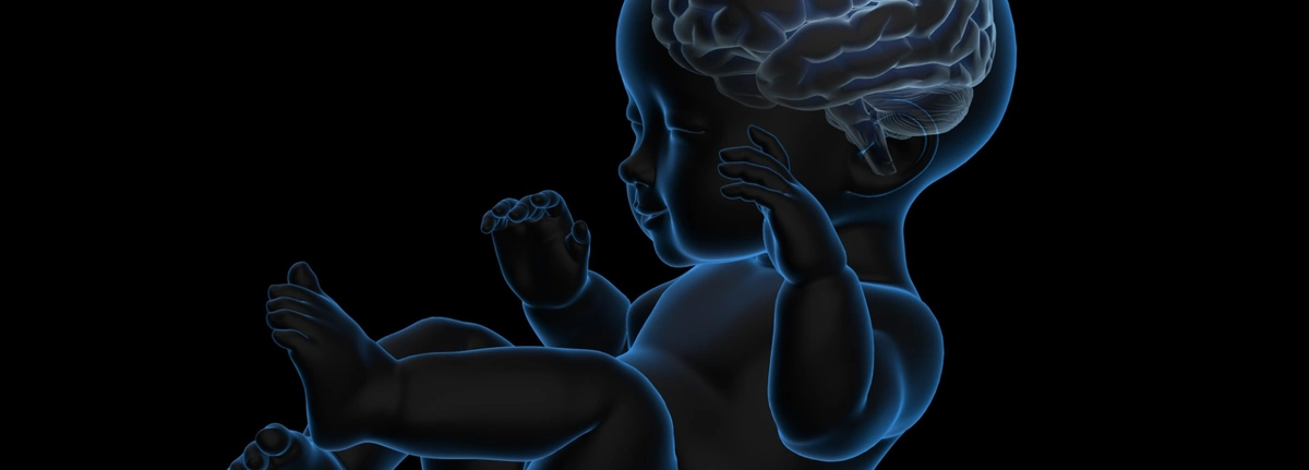 Research shows impact of poverty on children’s brain activity | About ...