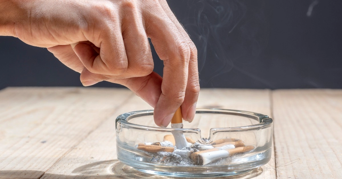 where to buy tobacco in calais Tobacco Vigilia Park