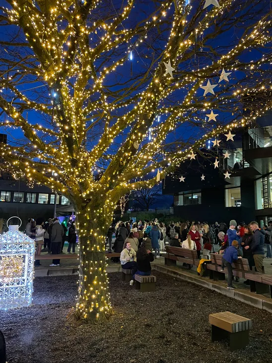 Tree with twinkling Christmas lights