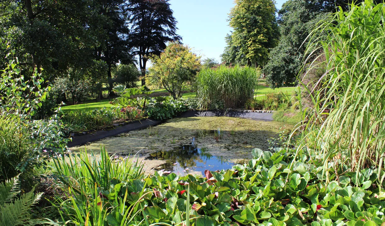 Pond and trees in garden of Time