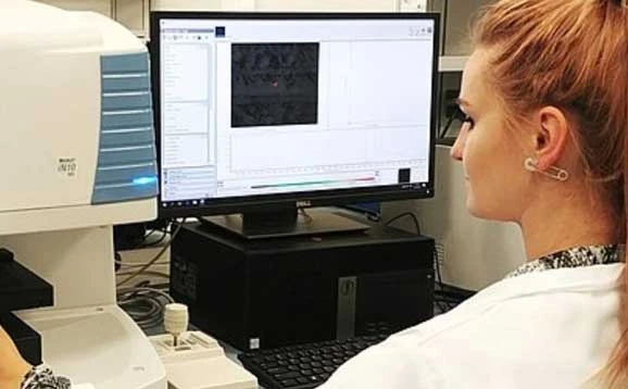 Person looking at a computer screen