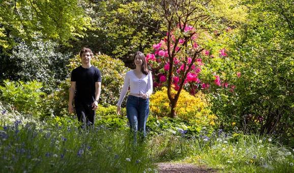 students walking on campus in summer