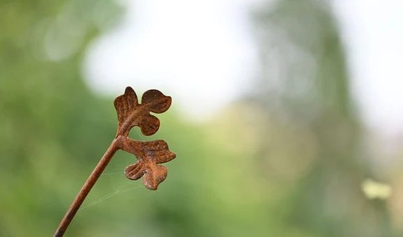 Close up of metal flower sculpture