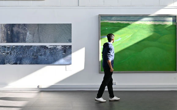 Person looking at a green painting