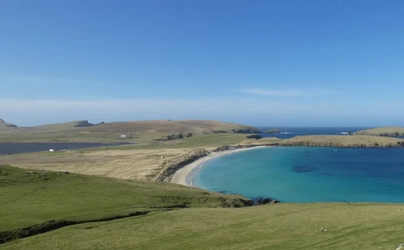 Shetland