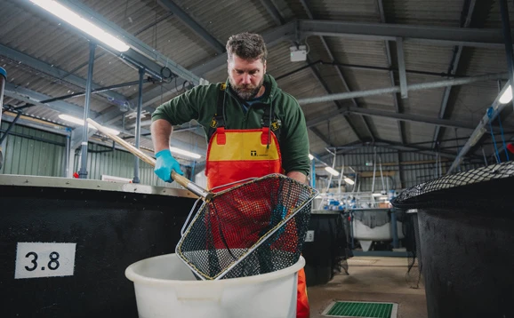 person at aquaculture facility with net