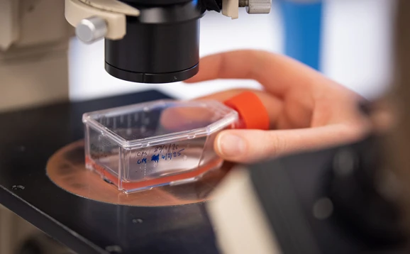 close up of scientific equipment