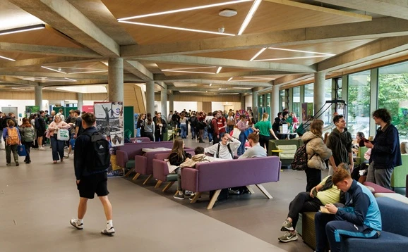 Freebie Fayre stalls and activities