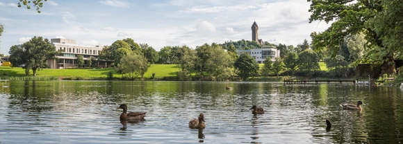 Ducks on loch with ҪԹ and Wallace Monument in background