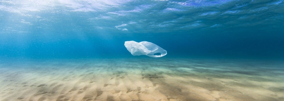 Plastic bag in the ocean