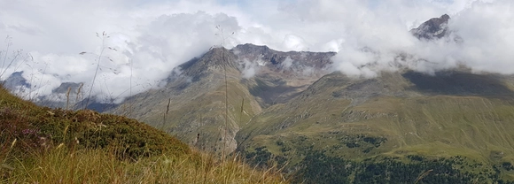 The Alps