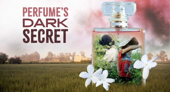 children in perfume bottle graphic