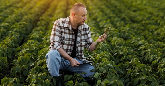 Stirling research could extend biopesticide effectiveness