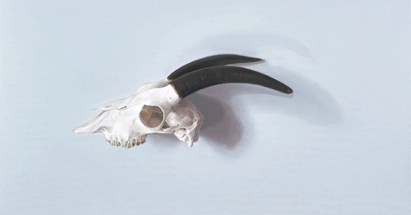 painting of goat skull