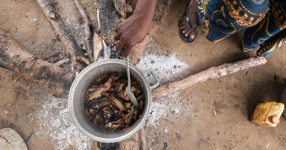Soaring wild meat consumption in Central Africa making sustainable wildlife management more critical than ever