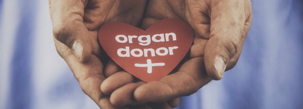Organ donor