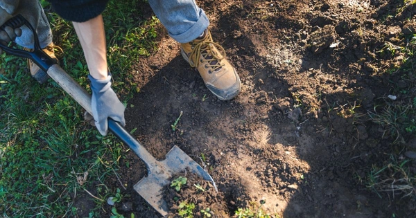 person digging garden