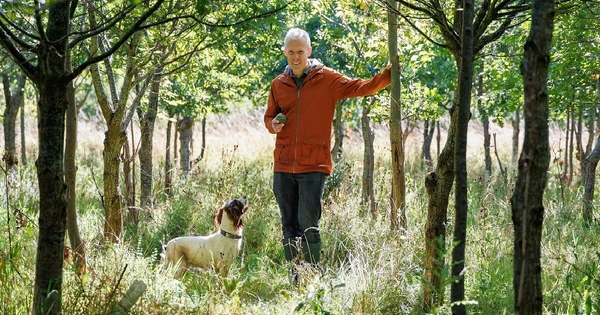 Man stands amongst sunlit trees holding a truffle. A dog looks up to the man.