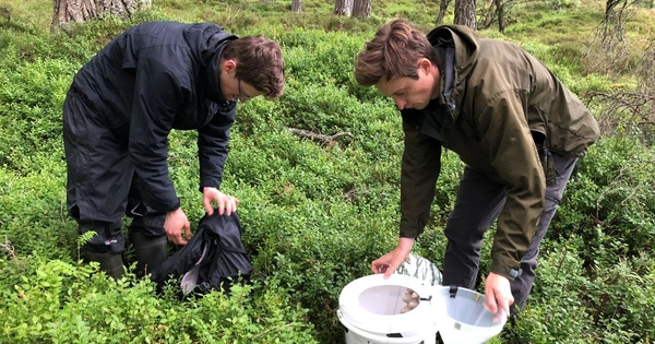 Researchers examine moth traps on the Mar Lodge Estate