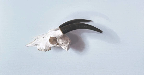 painting of goat skull