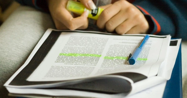 Sections on an academic journal are highlighted