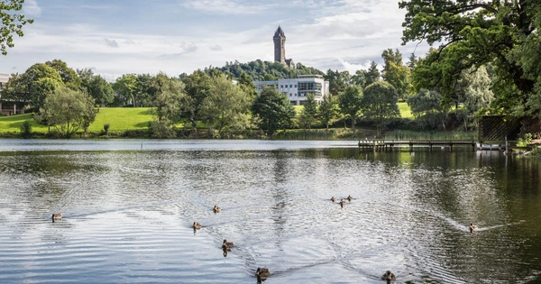 The University of Stirling campus on a sunny summer day with ducks on Airthrey Loch
