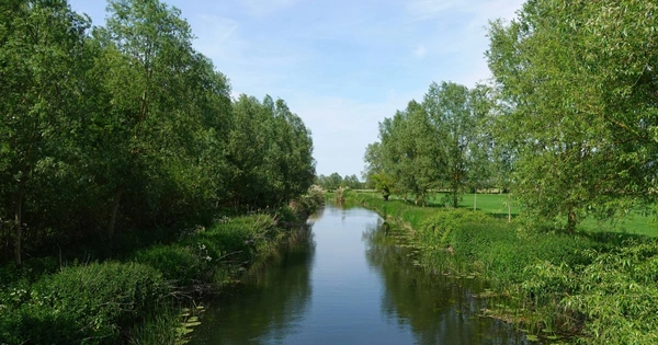 A landscape shot of a river in England during the summer months with trees in full bloom