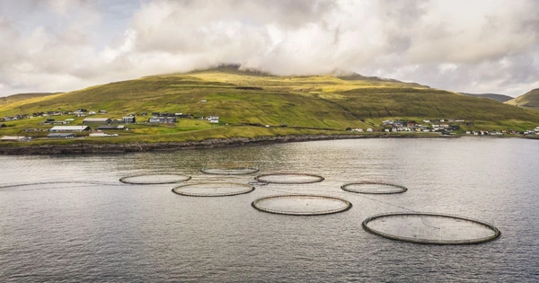 A salmon farm in Northern Europe
