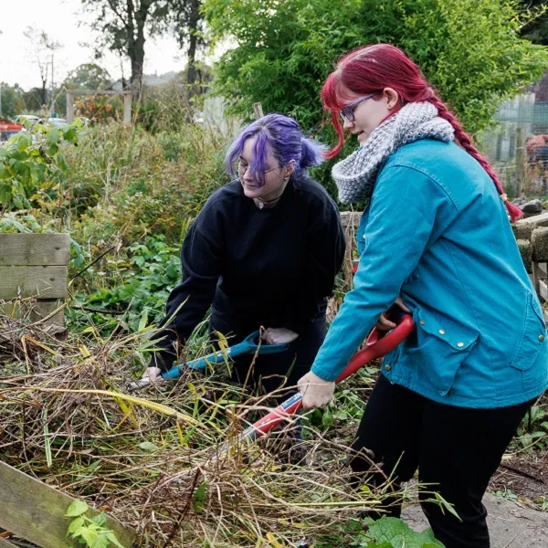 Image: Community gardening session