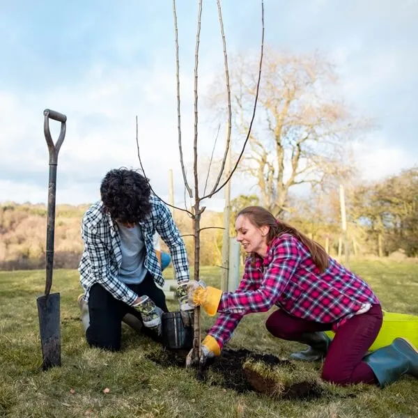 Image: Green and Blue Space Conservation Day with Dynamic Wood