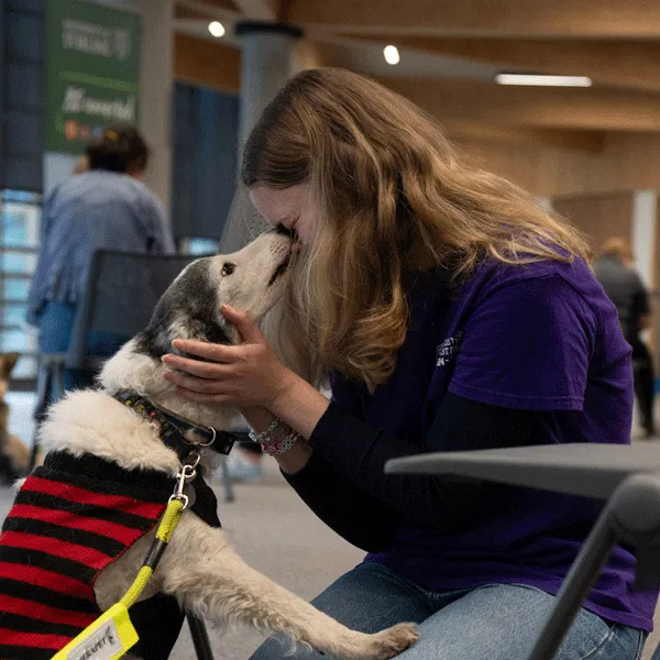 Image: Paws Against Stress (Therapets)