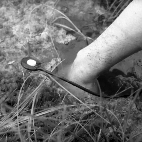 Image: Exhibition: CONTACT