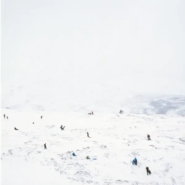 Image: Viewing Rooms: Winter Works