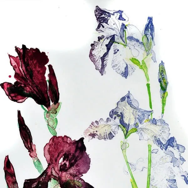 Image: Viewing Rooms: Elizabeth Blackadder and John Houston