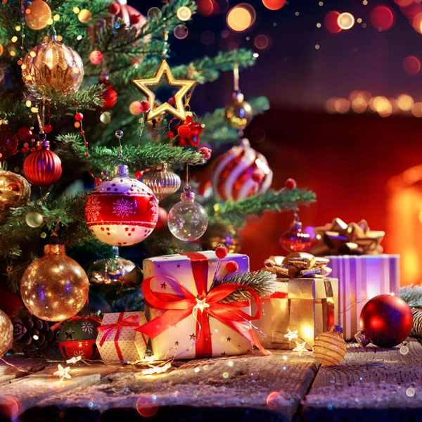 Image: Annual Festive Fun Day