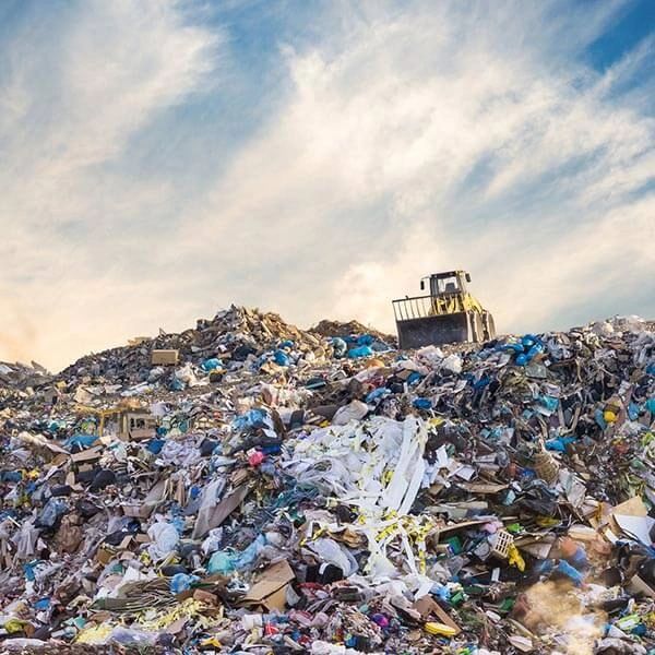 Image: Dunk ‘n Discuss: Resource Revolution – Embracing the Circular Economy