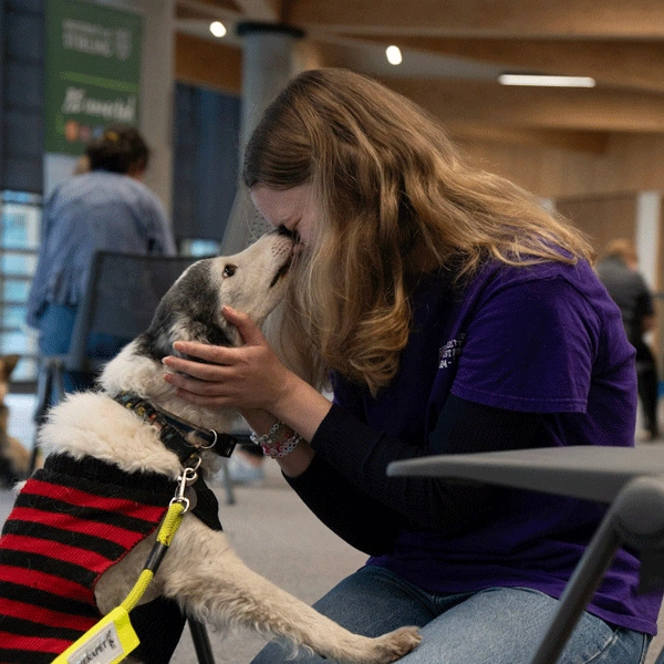 Image: Paws Against Stress (Therapets)