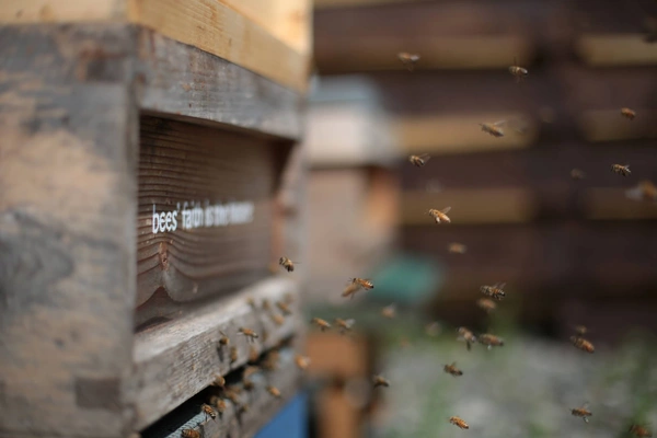 Image: Considering the Climate Crisis Exhibition