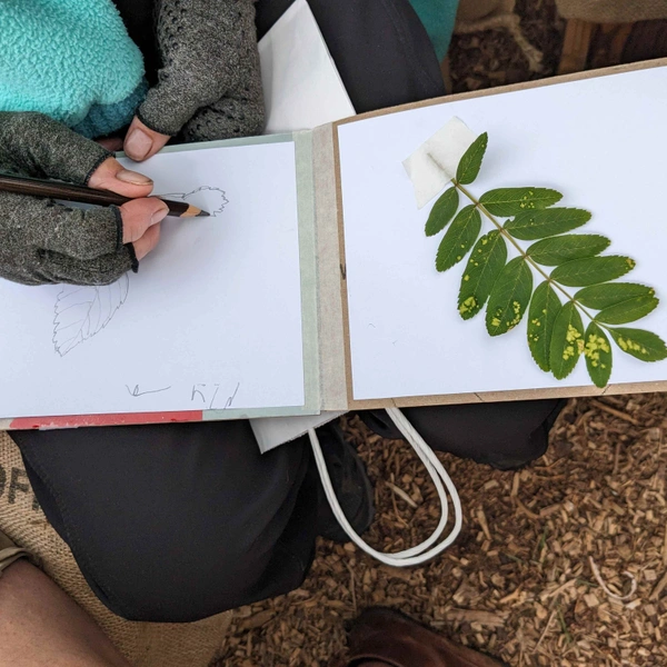 Image: Learning to Look Creative Workshop