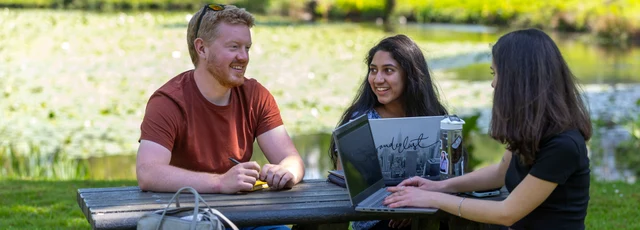 Students studying outside