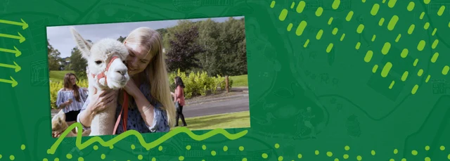 An image of a female student with an alpaca on a graphic, green background