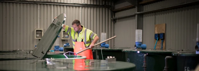 Man working at tanks in aquaculture facility