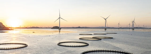 View of sea and wind turbines at sunset