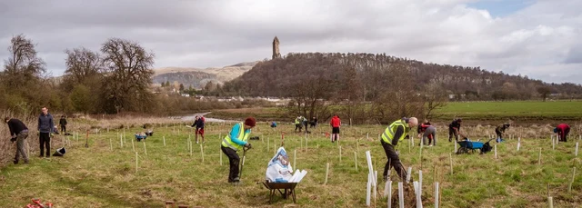 Volunteers planting trees with Wallace Monument in background. Credit: Treelink