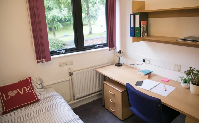 student bedroom, with single bed and red pillow, desk, and window