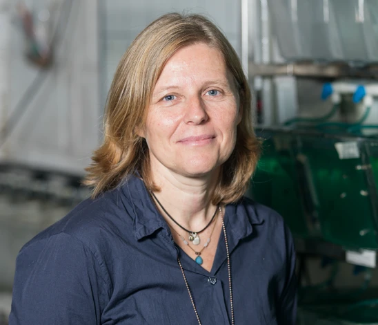 Dr Sonia Rey Planellas